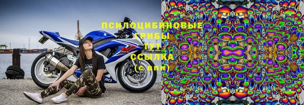 мяу мяу мука Волоколамск
