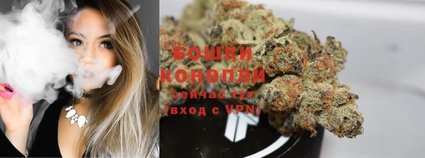 гидропоника Верея