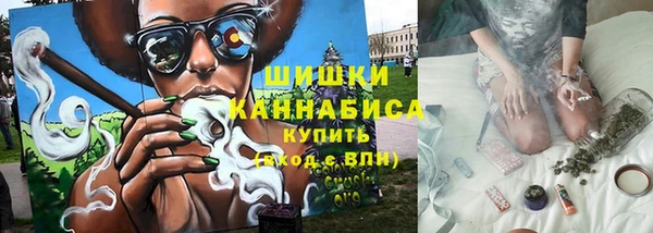 стаф Володарск