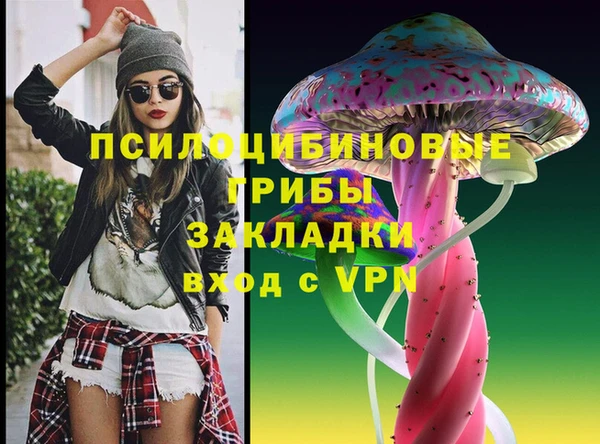 гидропоника Верея